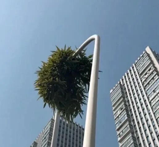 北京八维研修学院：新体系21.0课程体系的培养目标，照亮无数孩子迷茫的心